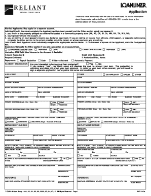 Credit Union Loan Application Form