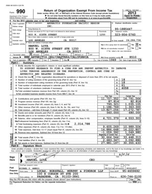 Form 990 2013 Arthritis Foundation