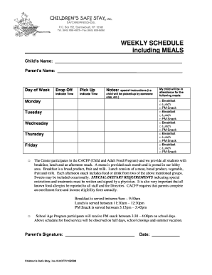Child Care Weekly Schedule Form