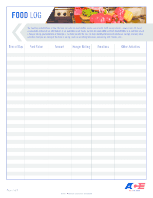 Food and Activity Log