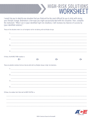 High-Risk Solutions Worksheet