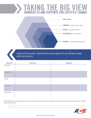 Lifestyle Change Barriers and Supports Worksheet