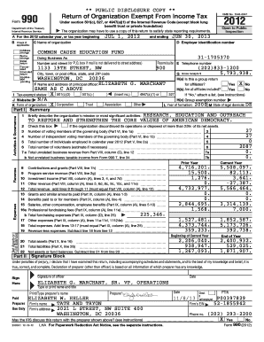 Form 990 2012