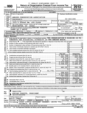 IRS Form 990 2013