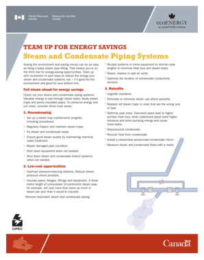 Steam and Condensate Piping Systems Checklist