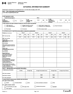 Form 1200 Actuarial Information Summary