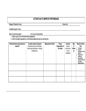 Performance Improvement Action Plan