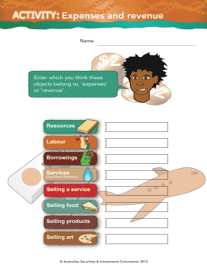 Business Expenses and Revenue Classification Form