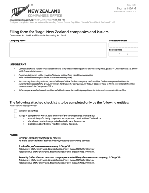 New Zealand Large Company Financial Statements Filing Form