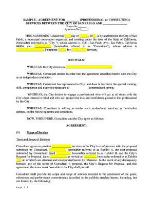 Consulting Services Agreement