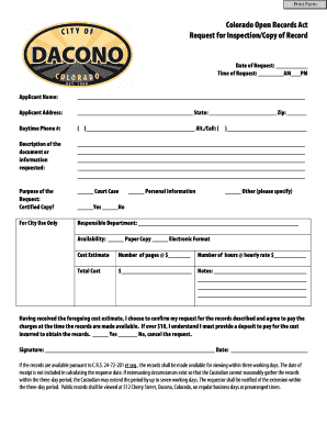 Form preview