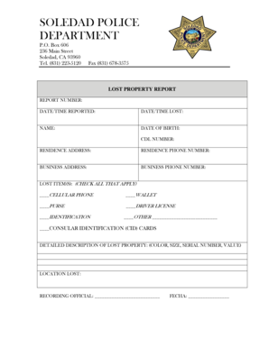 Lost Property Report