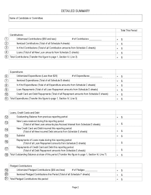 Campaign Finance Report Form