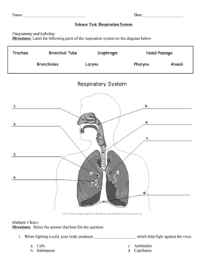 Science Test: Respiration System