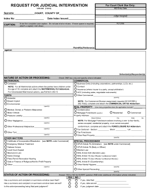 Request for Judicial Intervention Form