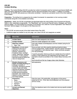 Incident Briefing Form ICS 201