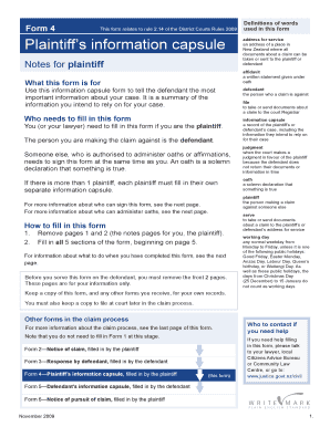 Plaintiff's Information Capsule Form