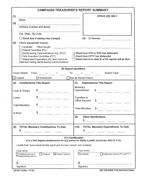 Campaign Treasurer's Report Summary