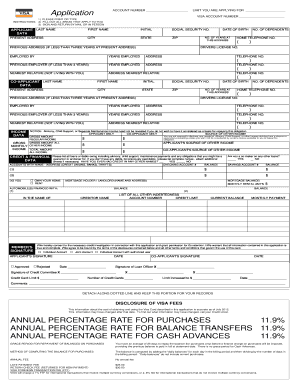 Visa Credit Card Application Form