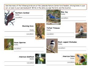 Bird Sighting Log