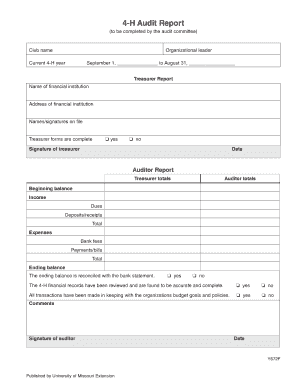 4-H Audit Report