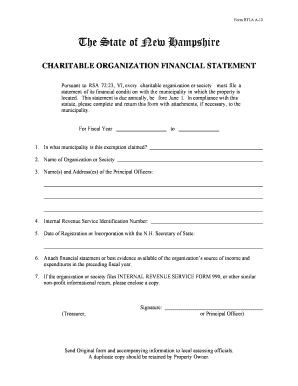 New Hampshire Charitable Organization Financial Statement