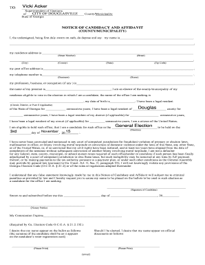 Georgia Notice of Candidacy and Affidavit