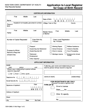 New York Birth Record Application
