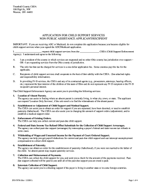 Ohio Child Support Services Application
