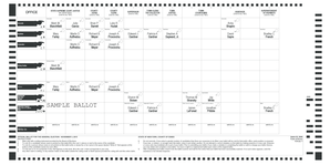 New York General Election Ballot