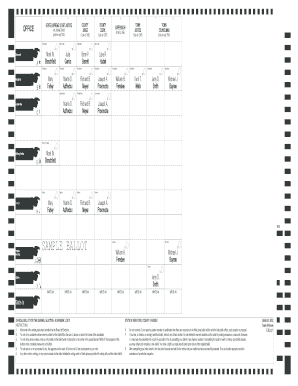 New York General Election Ballot