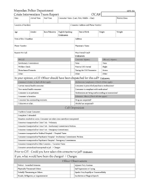 Crisis Intervention Team Report