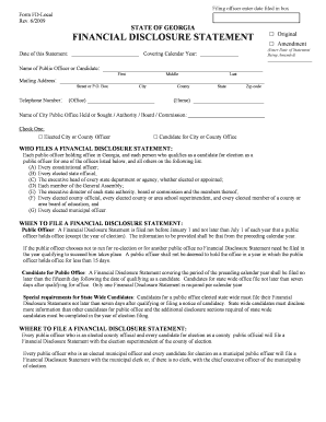 Georgia Financial Disclosure Statement