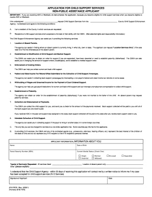 Child Support Services Application