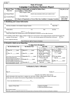 Georgia Campaign Contribution Disclosure Report