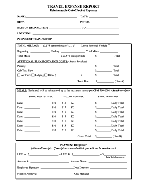 Travel Expense Report