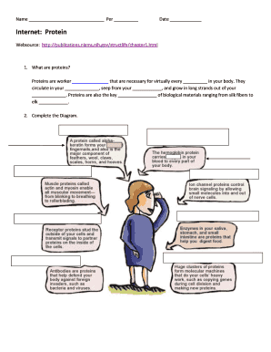 Protein Structure Worksheet