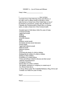 Exhibit A - Criminal Background Declaration