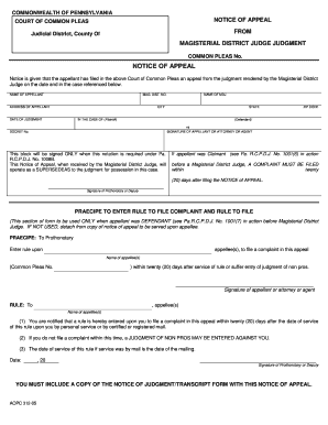 Pennsylvania Notice of Appeal