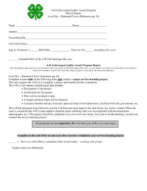 4-H Diamond Clover Award Program Plan and Report
