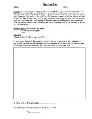 Egg Drop Lab Form