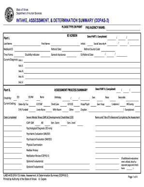 Illinois Intake Assessment Determination Summary