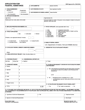 US Federal Assistance Application Form