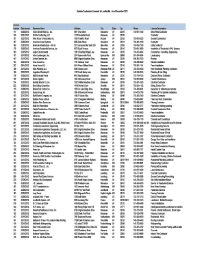 Banc plus checklist - 12-11-12 2012 Business License Spreadsheetxls