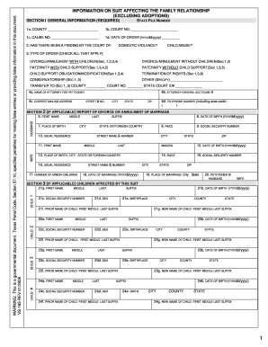 Texas Family Law Suit Information Form