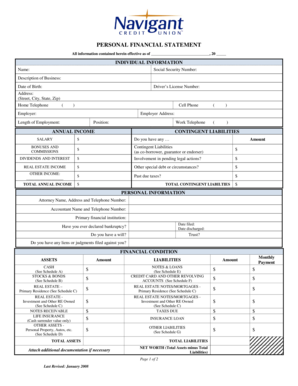 Personal Financial Statement Form