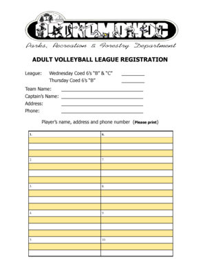 Adult Volleyball League Registration Form