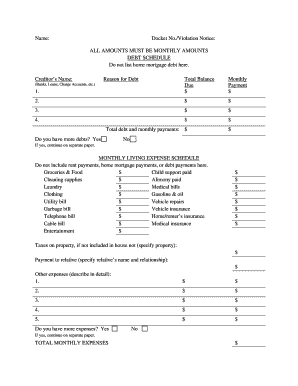 Debt and Expense Schedule Form