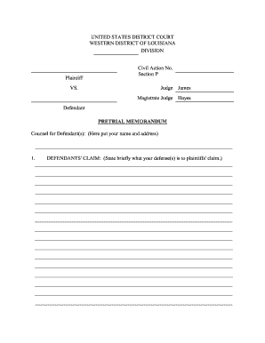 Pretrial Memorandum Template