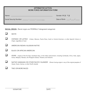 Affirmative Action Workforce Information Form